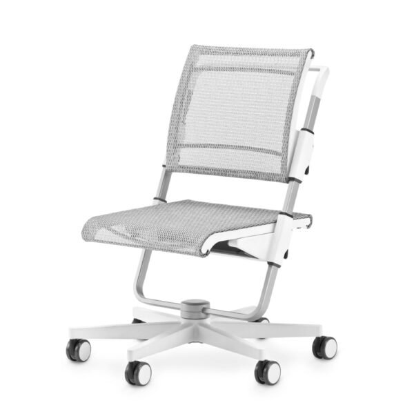 scaun ergonomic