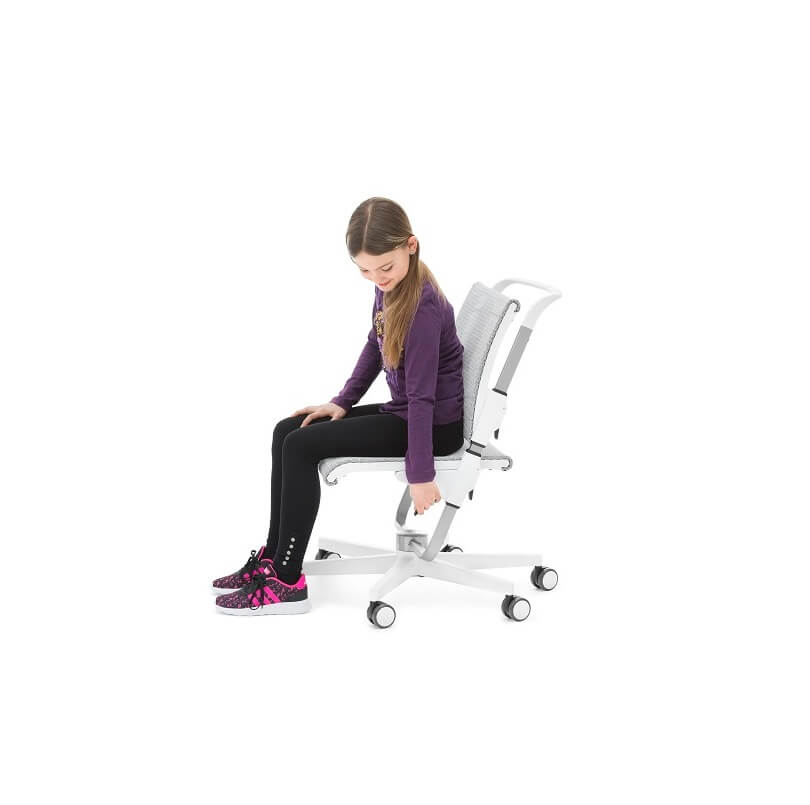 scaun ergonomic