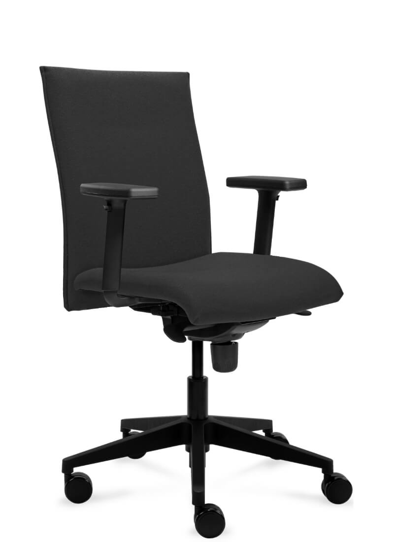 scaun ergonomic birou reglabil