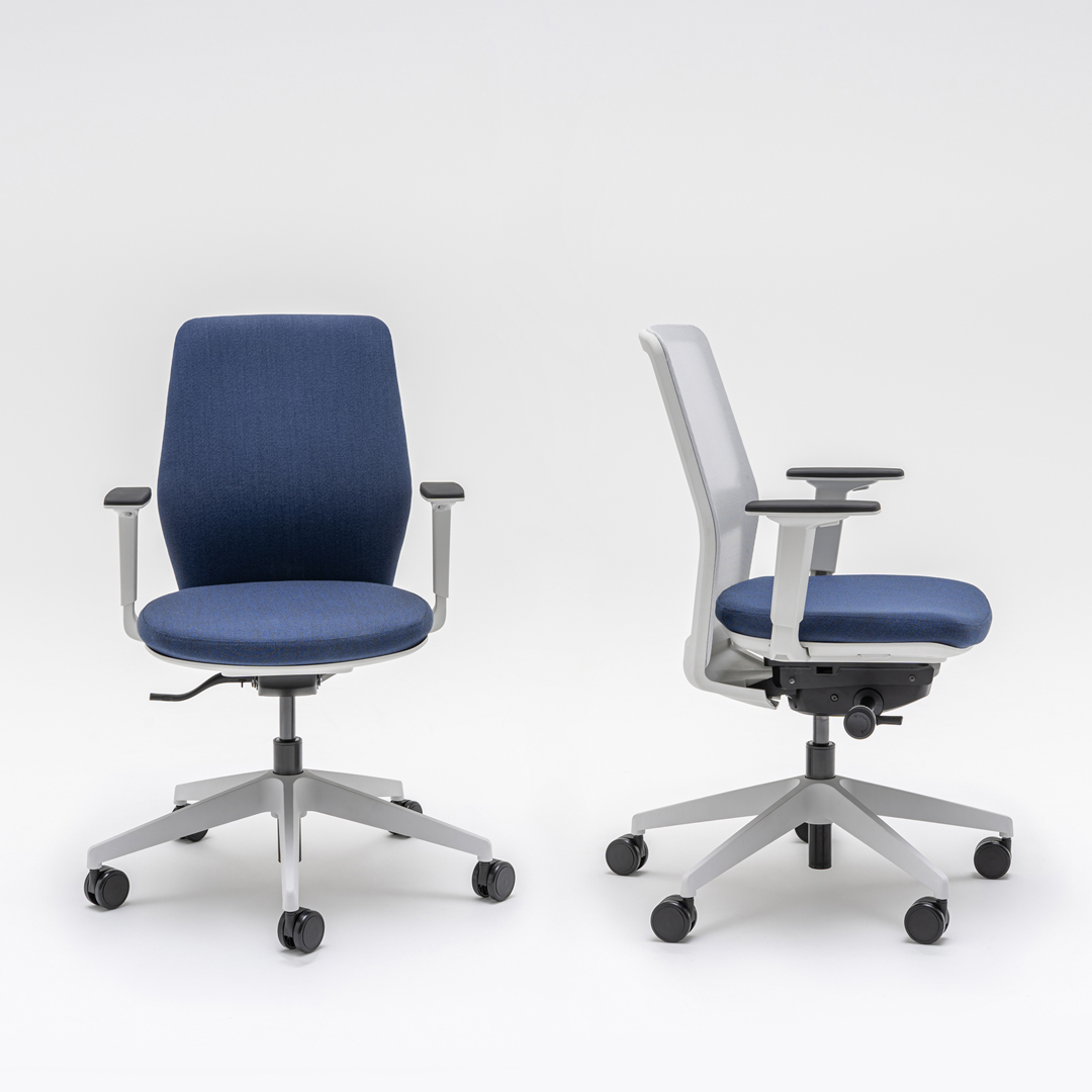 scaune ergonomice birou