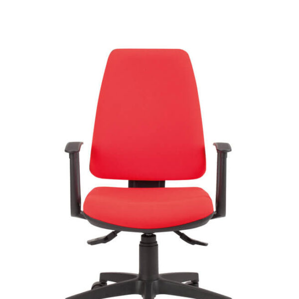 scaun ergonomic birouri